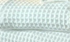 tgl toile nid abeille blanche